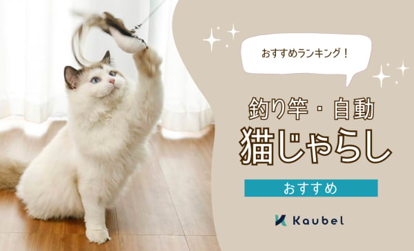 【釣り竿・自動】猫じゃらしのおすすめ人気ランキング18選！壊れにくい長持ちタイプを厳選！