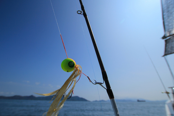タイラバのおすすめ人気ランキング20選！釣れる魚も紹介