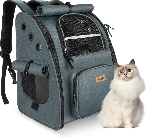 リュック型の猫用キャリーバッグ