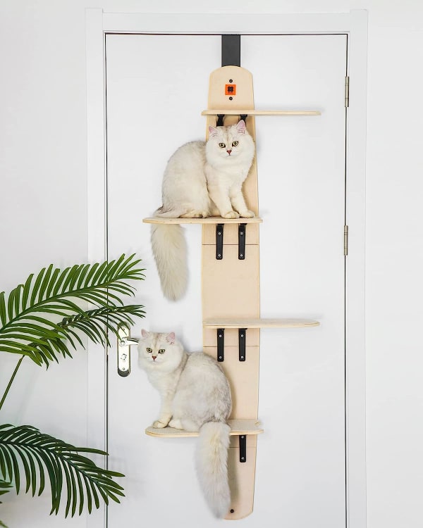 キャットステップ ドア掛け キャットタワー キャットウォーク 猫