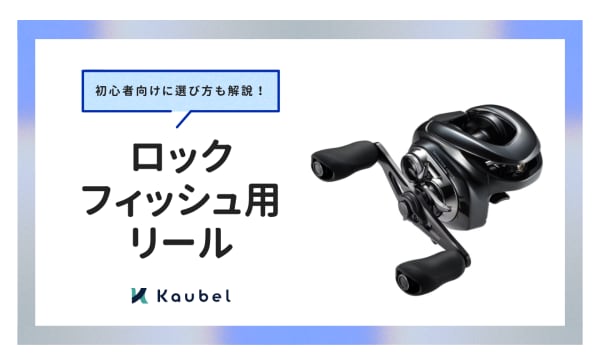 ロックフィッシュ用リールのおすすめ人気ランキング13選！初心者向けに選び方も解説