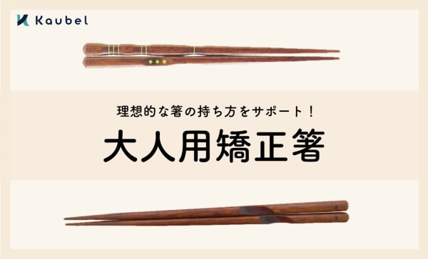 大人用矯正箸のおすすめ人気ランキング9選！理想的な箸の持ち方をサポート
