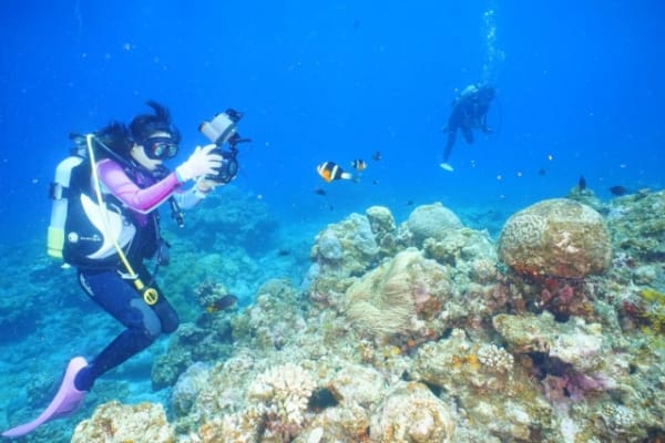 【初心者向け】水中カメラおすすめ人気ランキング15選！ダイビングやシュノーケル用の選び方も解説