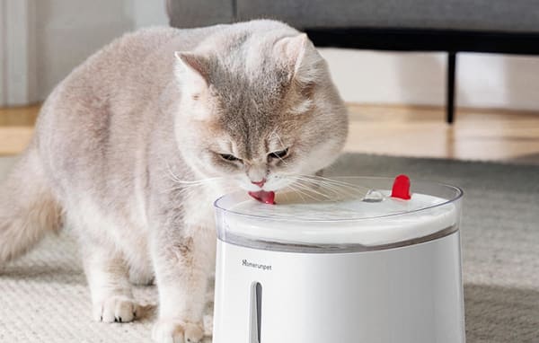 完全コードレスの猫用自動給水器おすすめ7選！電源不要でお手入れ簡単！