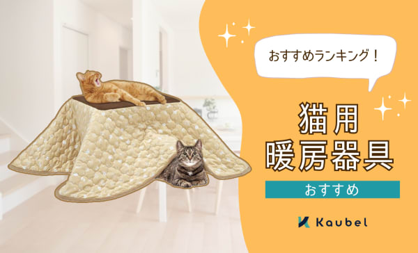 猫の暖房器具おすすめ12選！ホットカーペットやこたつで安全に寒さ対策！