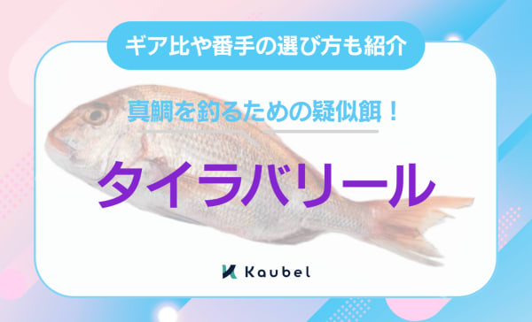 タイラバリールのおすすめ人気ランキング12選！ギア比や番手の選び方も紹介