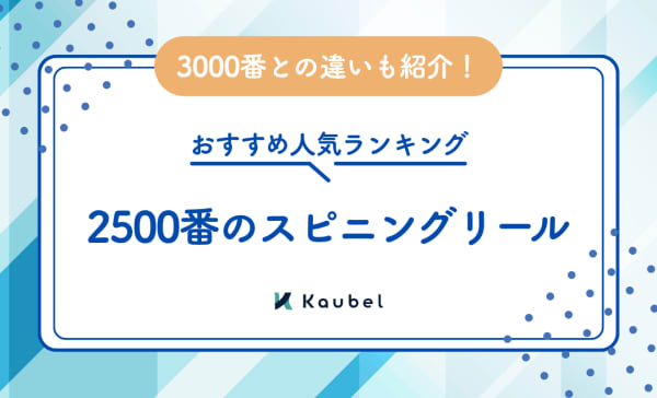 2500番のスピニングリールのおすすめ人気ランキング12選！