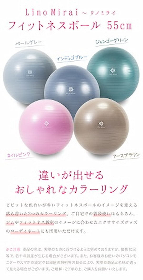Lino Miraiのバランスボール