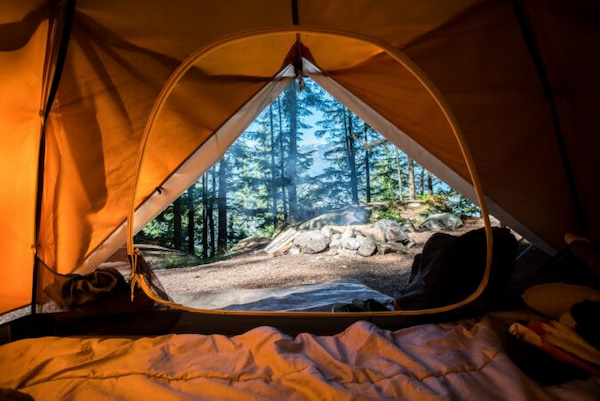 テント内からみたキャンプ場