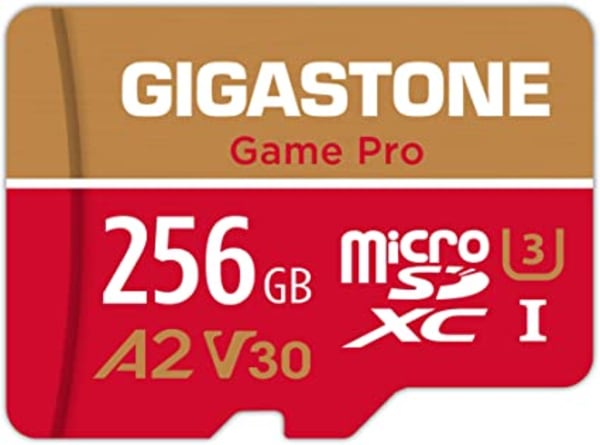 Gigastone microSDカード GS-2IN1633x256GB-R