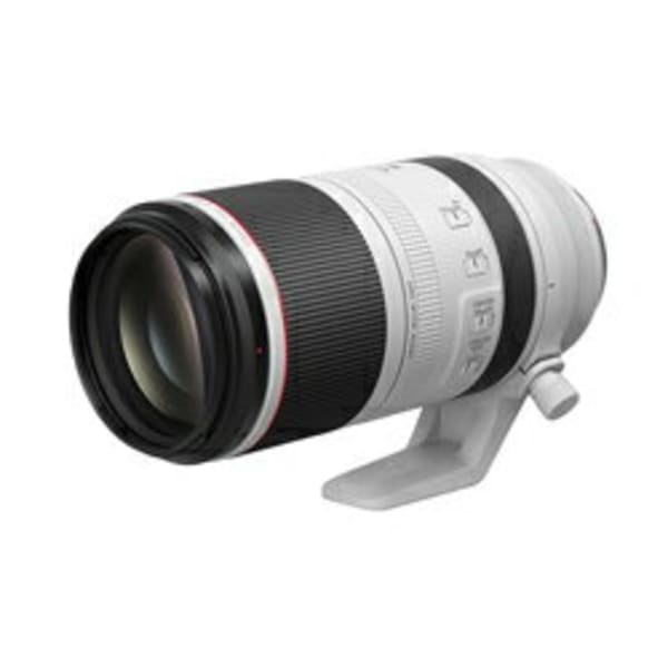 Canon RF100-500mm F4.5-7.1 L IS USM