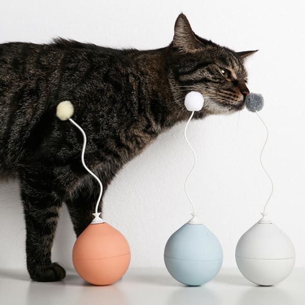 pidan Balloon Cat Toy 電動式猫用おもちゃ